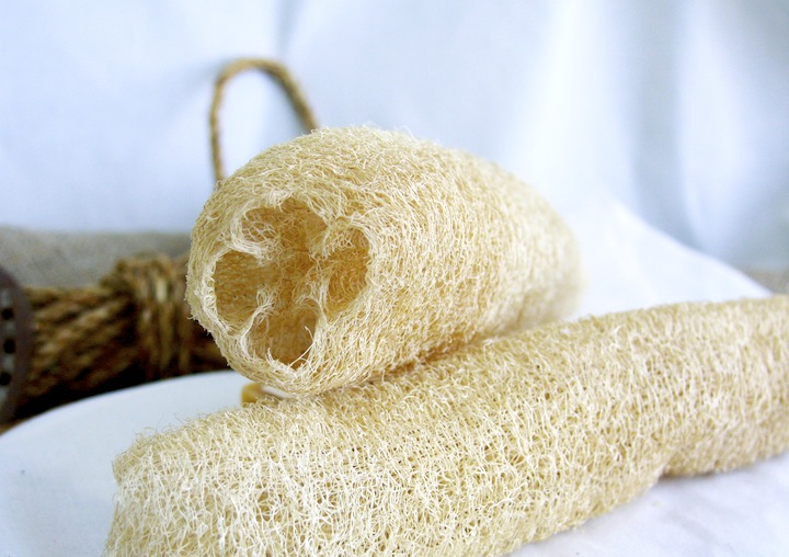 The Benefits of Using a Loofa for Your Hair插图