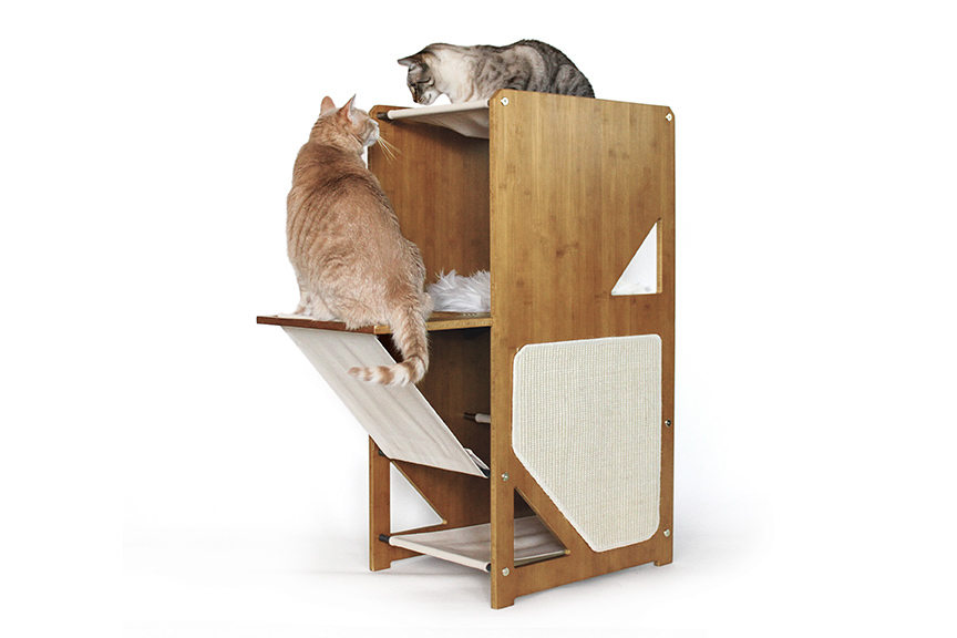 Training Large Cats to Use a Cat Tree: Introducing Gradually, Positive Reinforcement, Redirecting Behavior, and Creating an Enticing Space插图