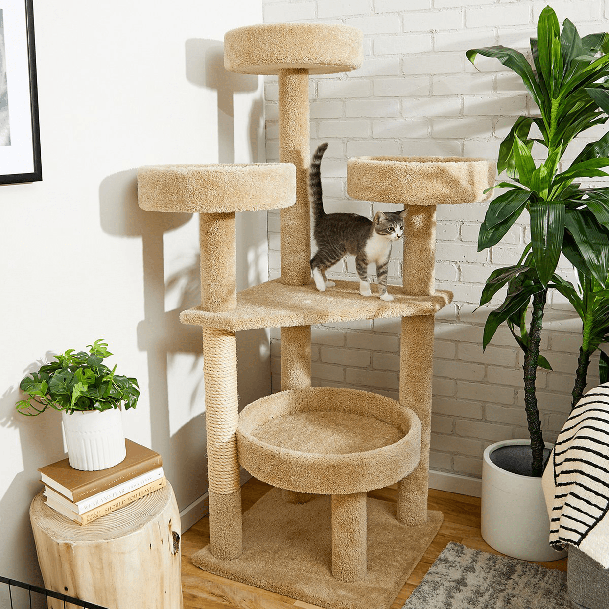 Cat Tree Accessories for Large Cats: Hammocks, Interactive Toys, Feeding Stations, and Climbing Walls插图
