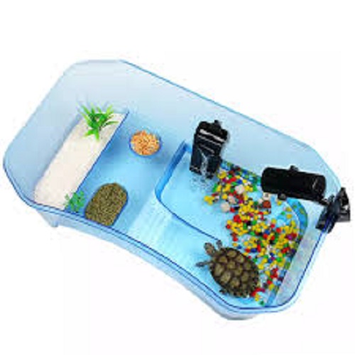 The Perfect Turtle Tank: Creating an nonesuch Habitat for Your Aquatic Companion插图