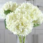 how to keep hydrangeas alive in vase
