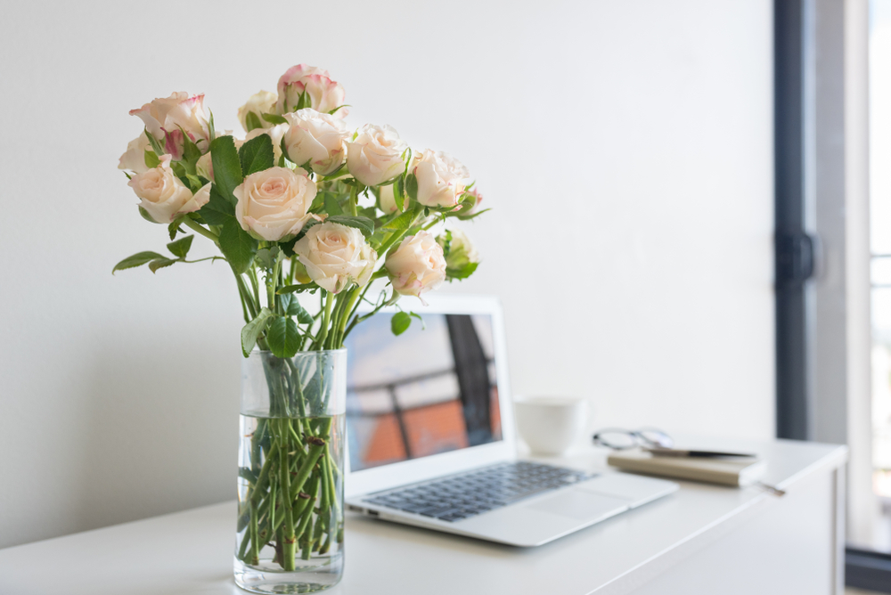 how to cut roses for vase