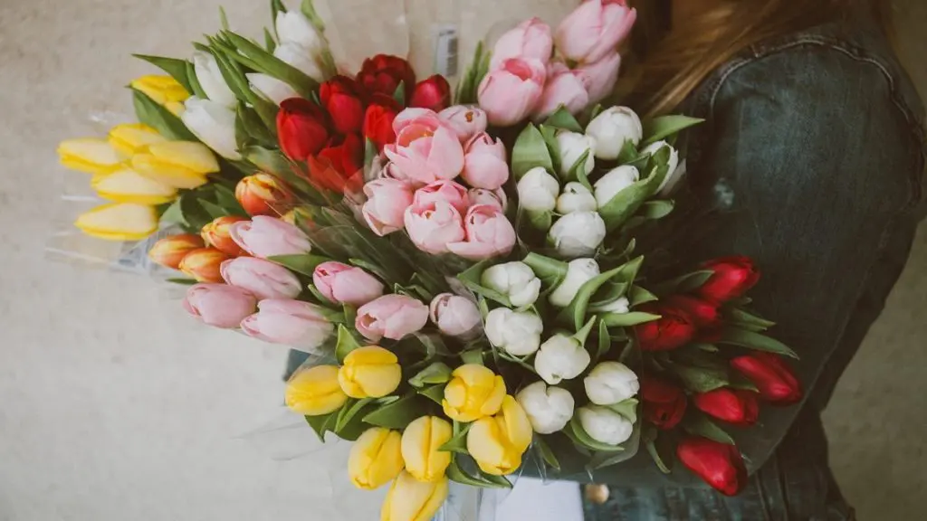 tulip care in vase