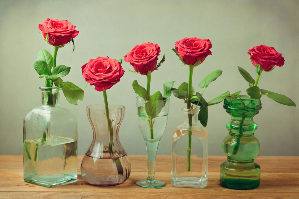 Bringing the Beauty Inside: A Guide to Cutting Roses for a Vase插图2