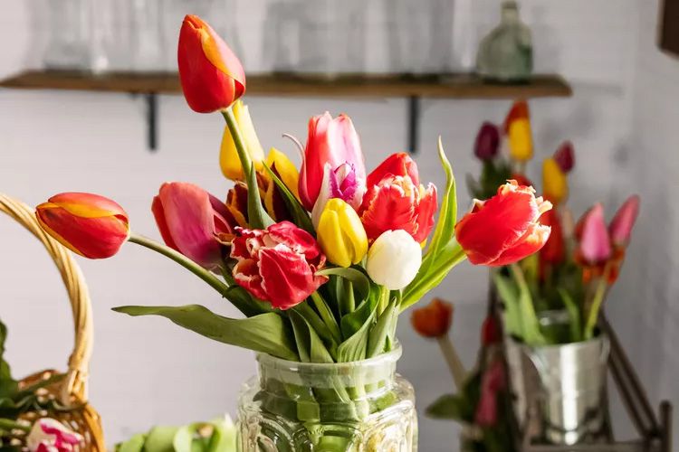 tulip arrangement in vase