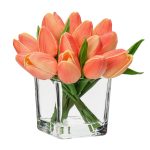 The Enchanting Unfolding: Do Tulips Open Up in a Vase?缩略图