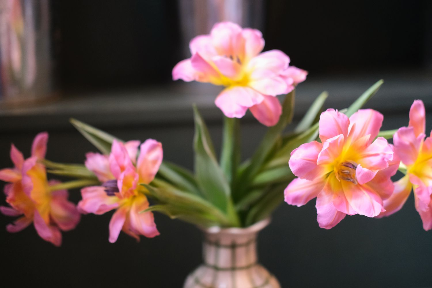 The Enchanting Unfolding: Do Tulips Open Up in a Vase?插图3