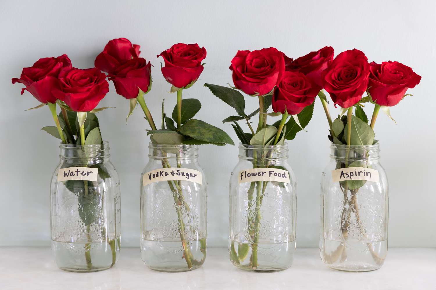 Bringing the Beauty Inside: A Guide to Preparing Roses for a Vase插图4