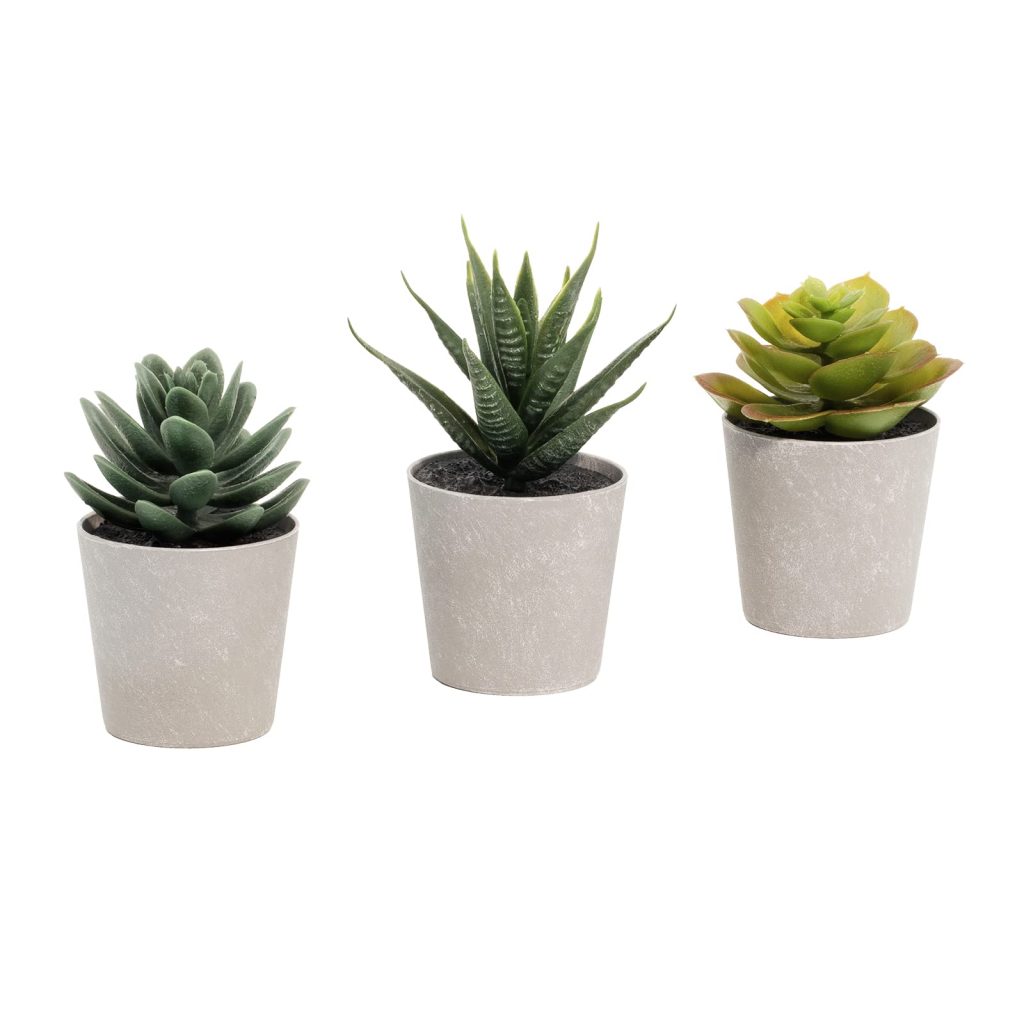 Eternal Greenery: Artificial Succulent Plants