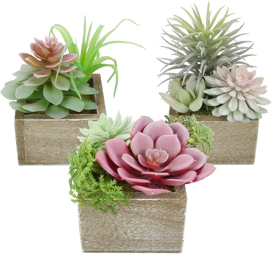 Artificial Succulent Plants