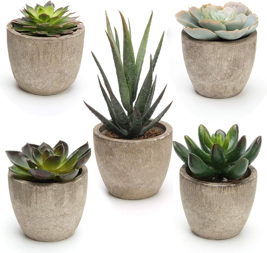 Artificial Succulent Plants