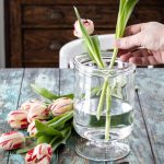 How to take care of tulips in vase缩略图