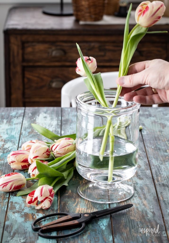 How to take care of tulips in vase