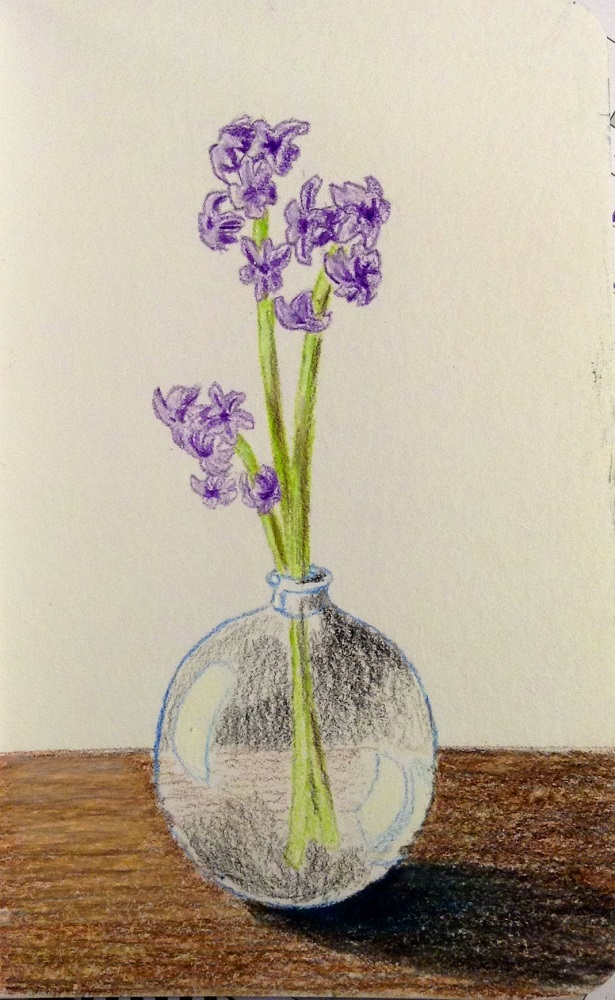 Vase of flowers drawing