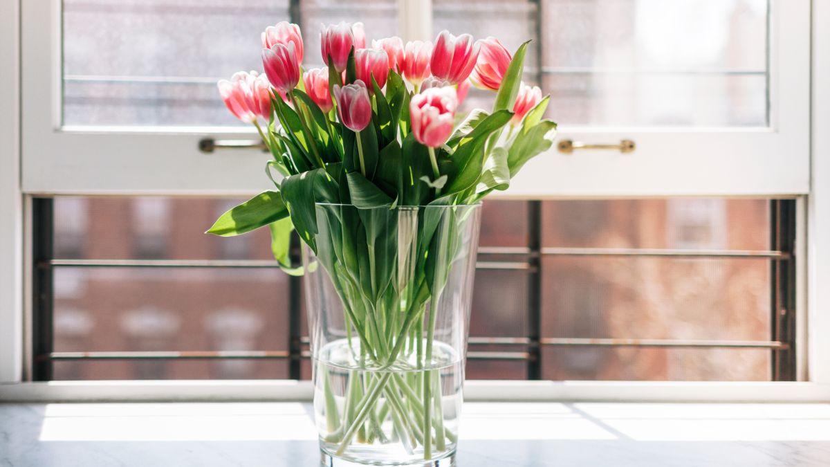 How to take care of tulips in vase