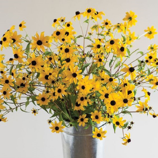 Learn the essential steps to prepare  flowers in a vase 