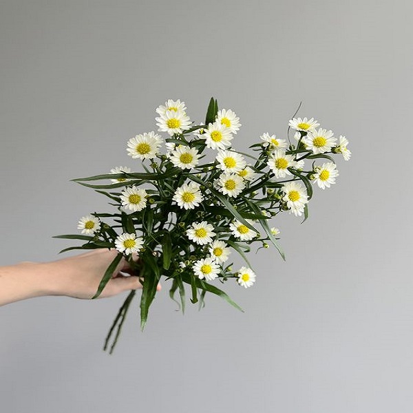 Learn the essential steps to prepare  flowers in a vase 