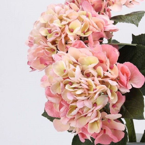 Explore creative ideas on what to put in a vase 