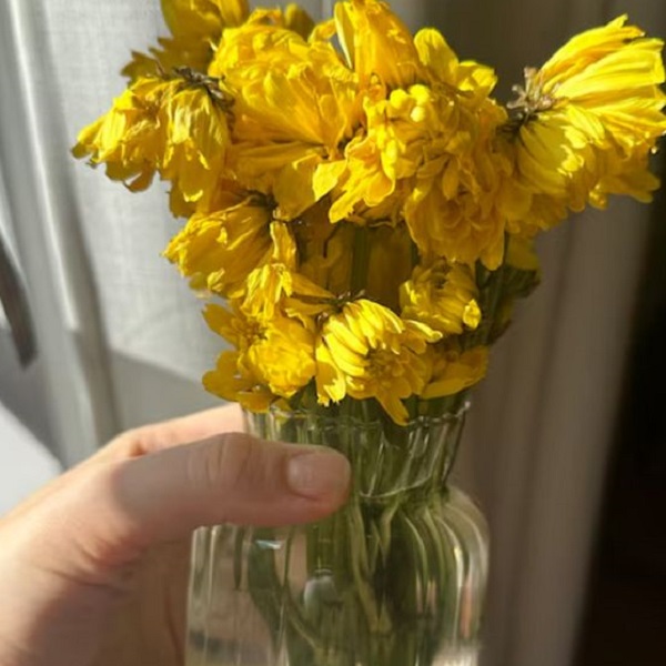 Revive drooping sunflowers with these easy vase tips