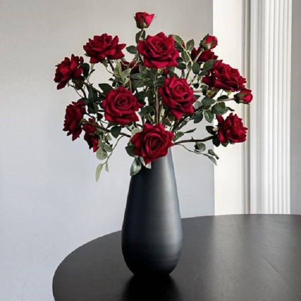 Learn how to preserve roses in a vase