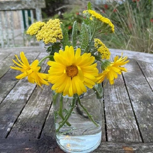 Learn how to take care of flowers in a vase