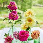 Ensure your vase-held peonies bloom