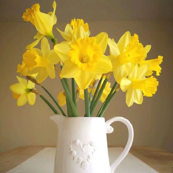 cutting daffodils to create a stunning vase