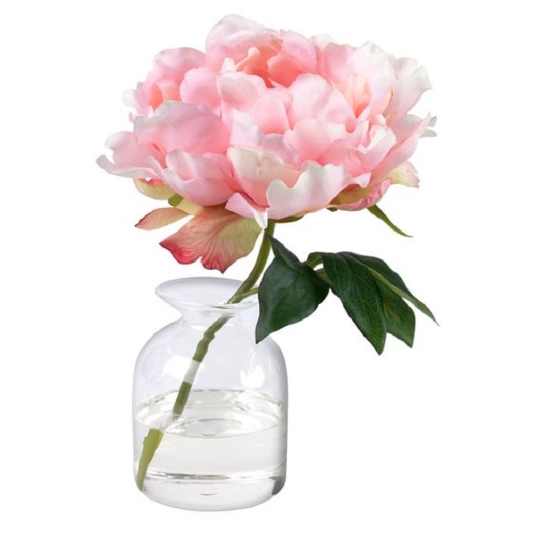 Discover the perfect time to cut peonies