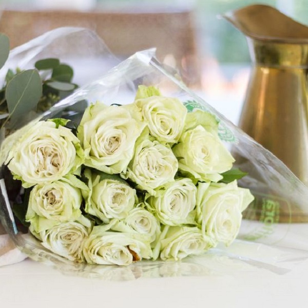 Learn tips and tricks to keep roses alive