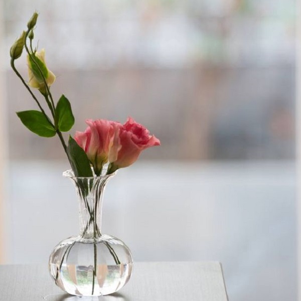 Discover tips to keep flowers alive longer in a vase 