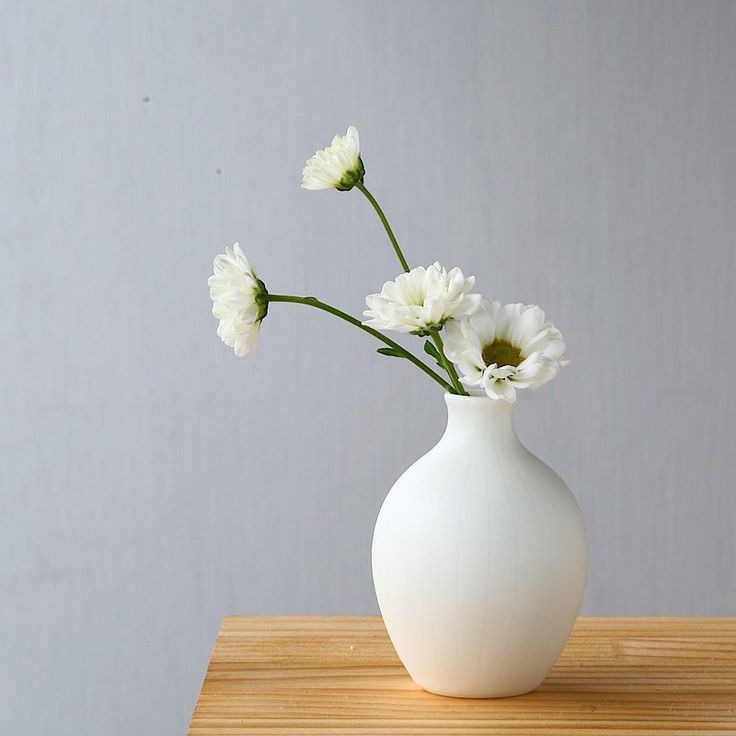 white flower vase